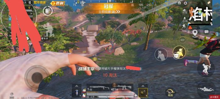 和平精英火焰鸟直装下载 - 快速部署型外挂工具